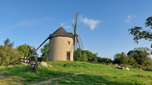 Mont%20Dol